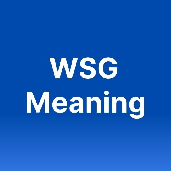 wsg meaning in text