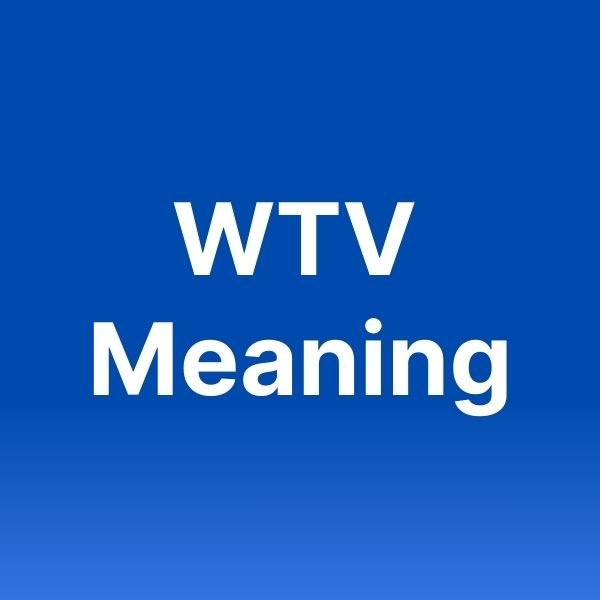 wtv meaning in text